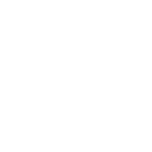 icon_Trade-Finance